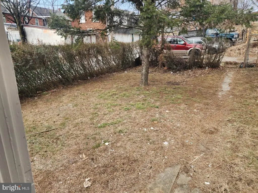 Picture 25