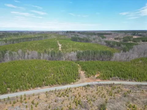 270 Acres of Forestland in Vernon Hill