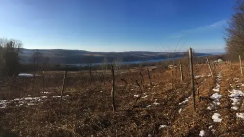 Keuka Lake View Residential Land