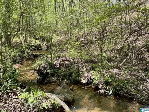5-Acre Parcel with Creek Frontage