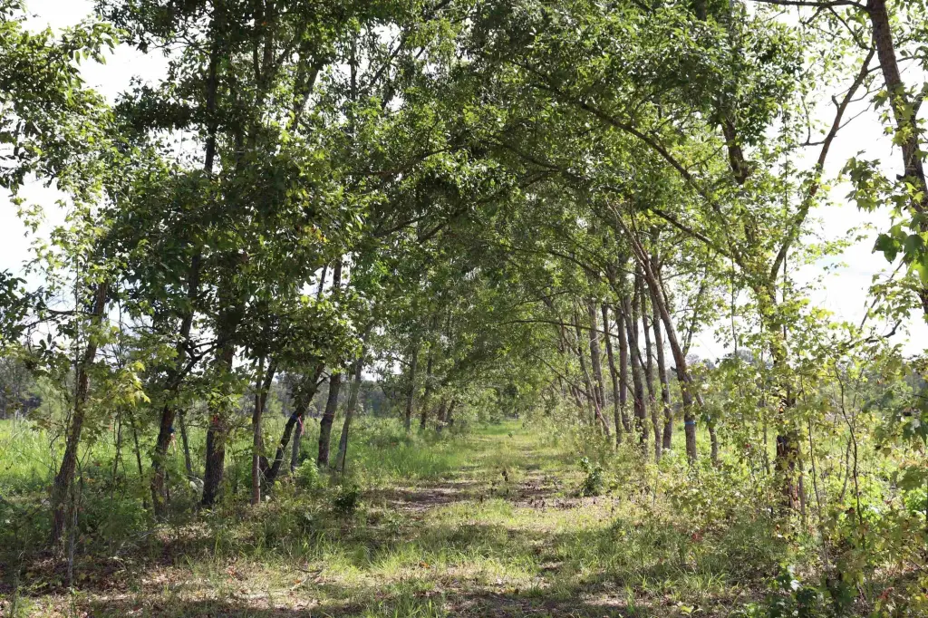 Picture 24