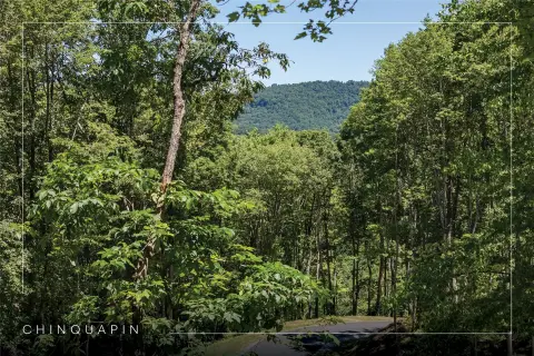 Chinquapin Community Land for Sale