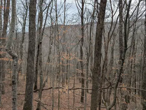 Franklin, NC Land with Views