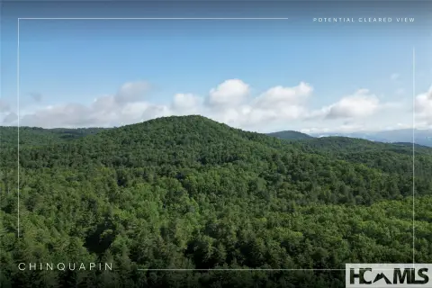 Glenville Land in Chinquapin