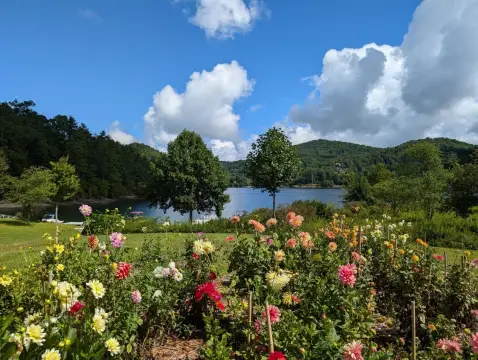 Wooded Lot in Cullowhee, NC