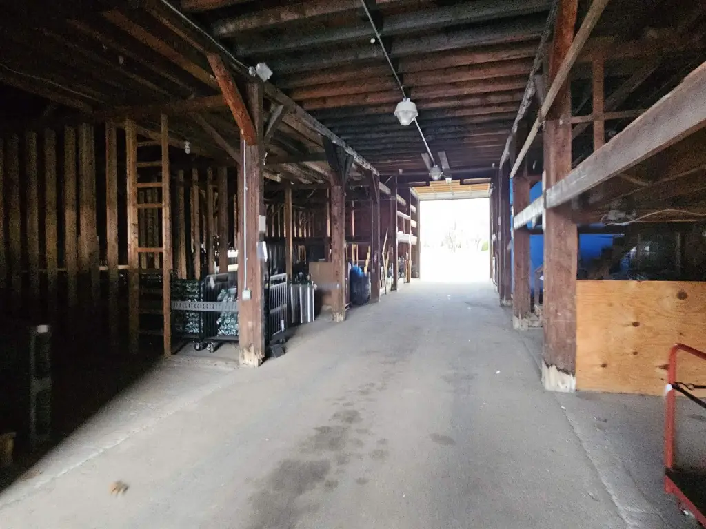 Picture 21