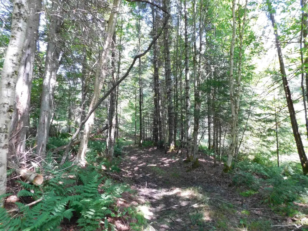 Picture 17