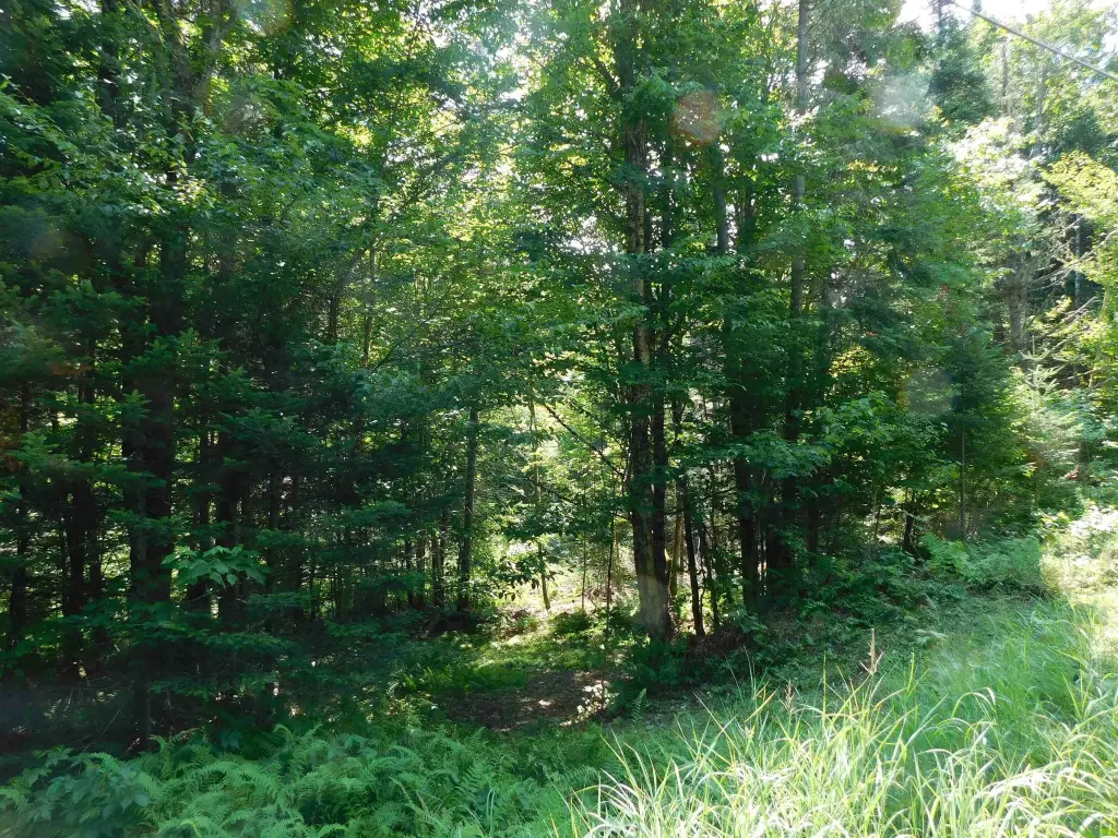 Picture 16