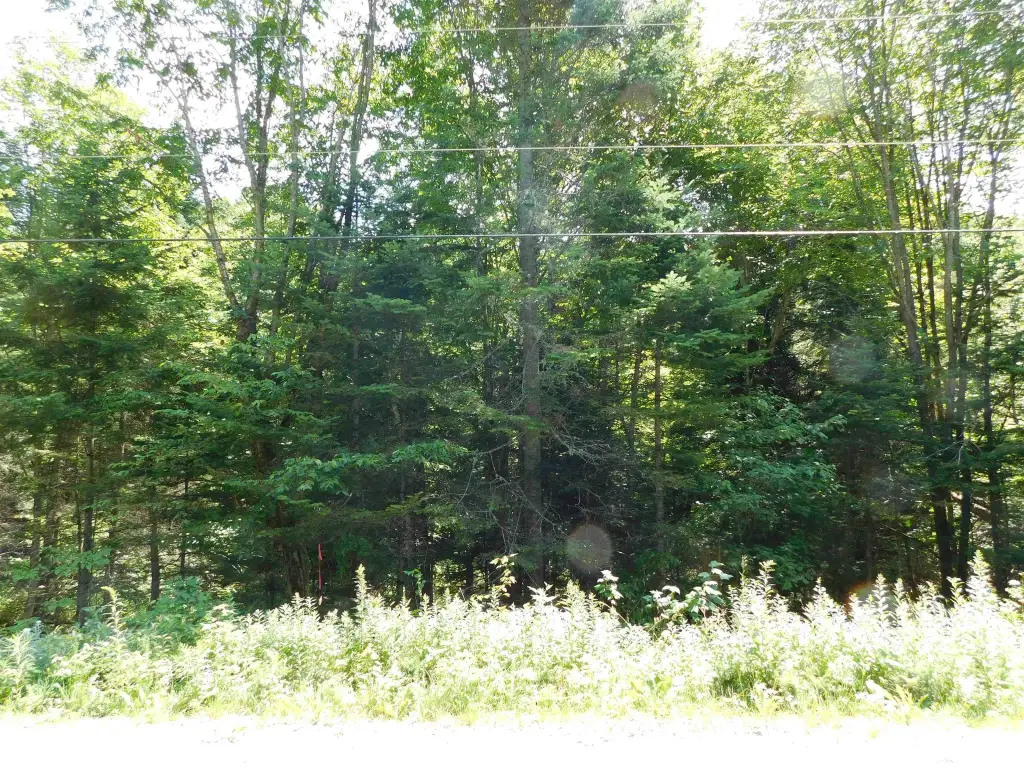 Picture 14