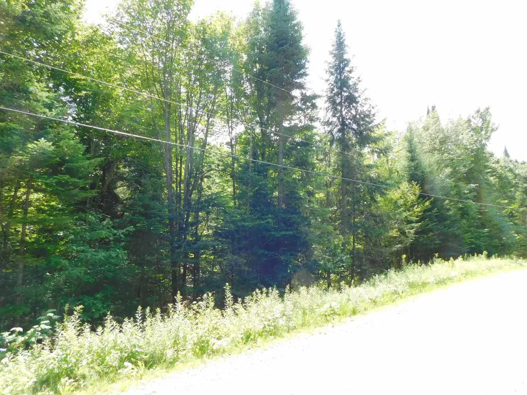 Picture 7