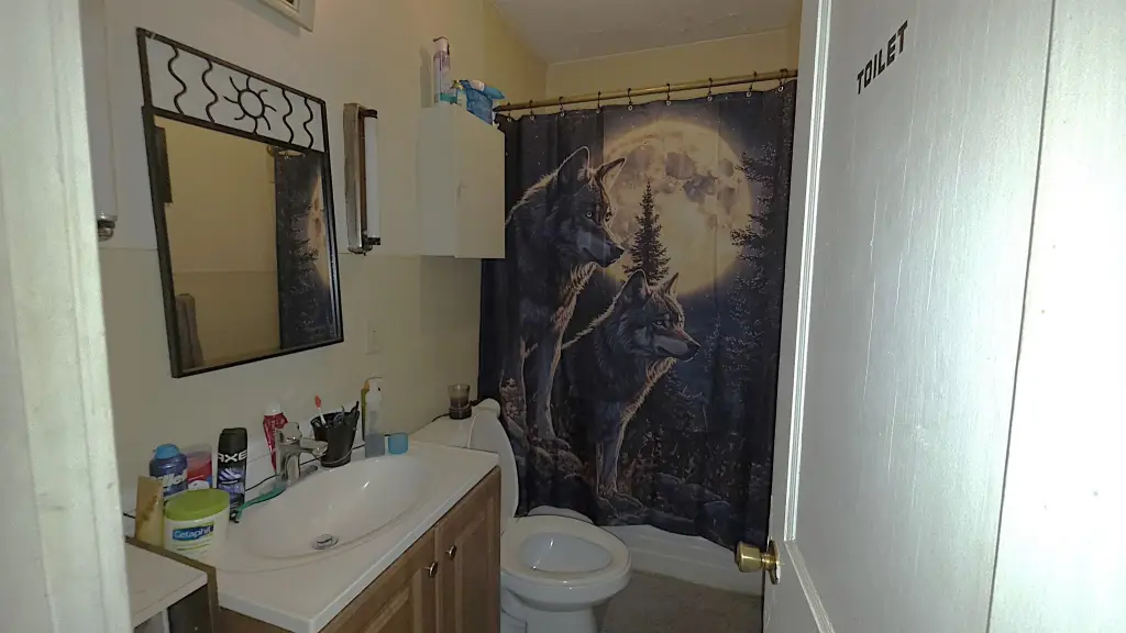 Picture 17