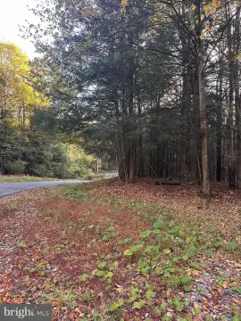 Wooded Lot in Treasure Lake