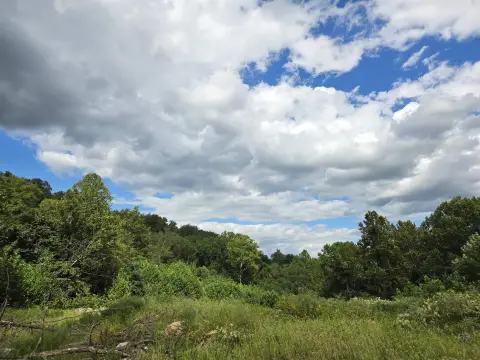 6+ Acre Commercial Land Opportunity