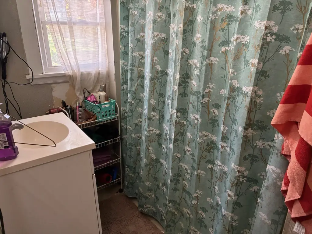 Picture 18