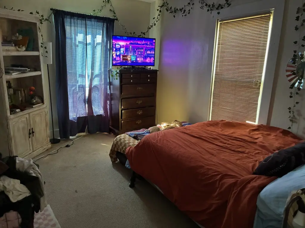 Picture 16