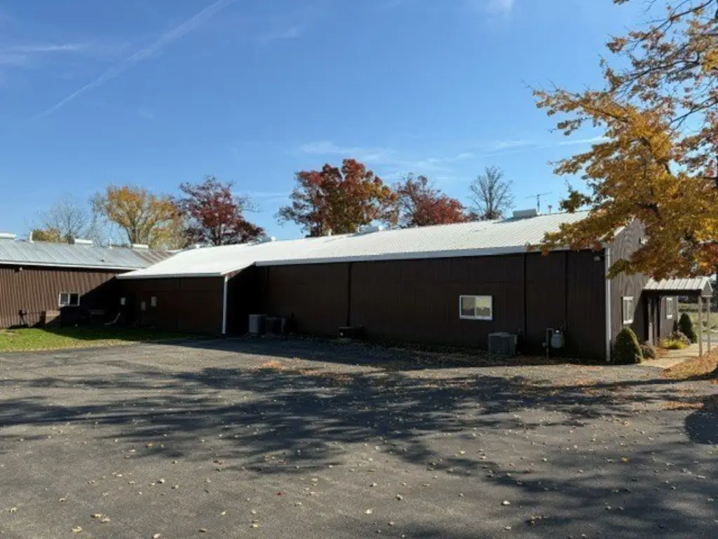 Picture 5