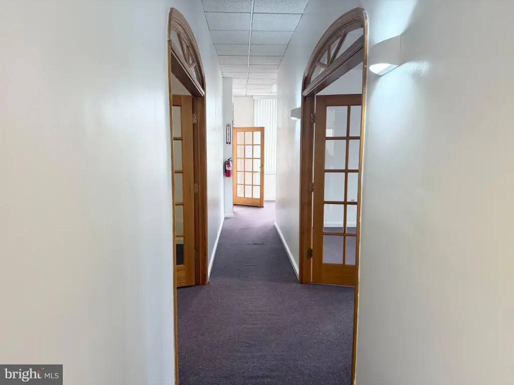 Picture 7