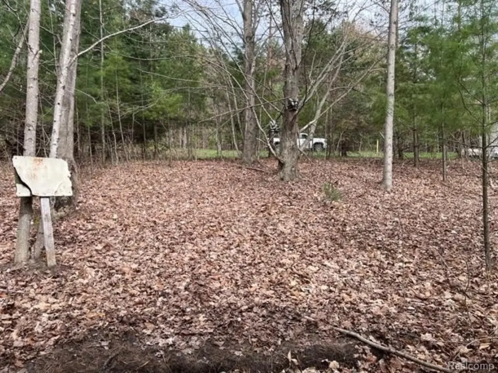 Picture 14