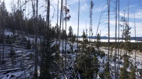 Georgetown Lake Recreational Land Opportunity