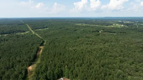 Fayette County Land with Timber