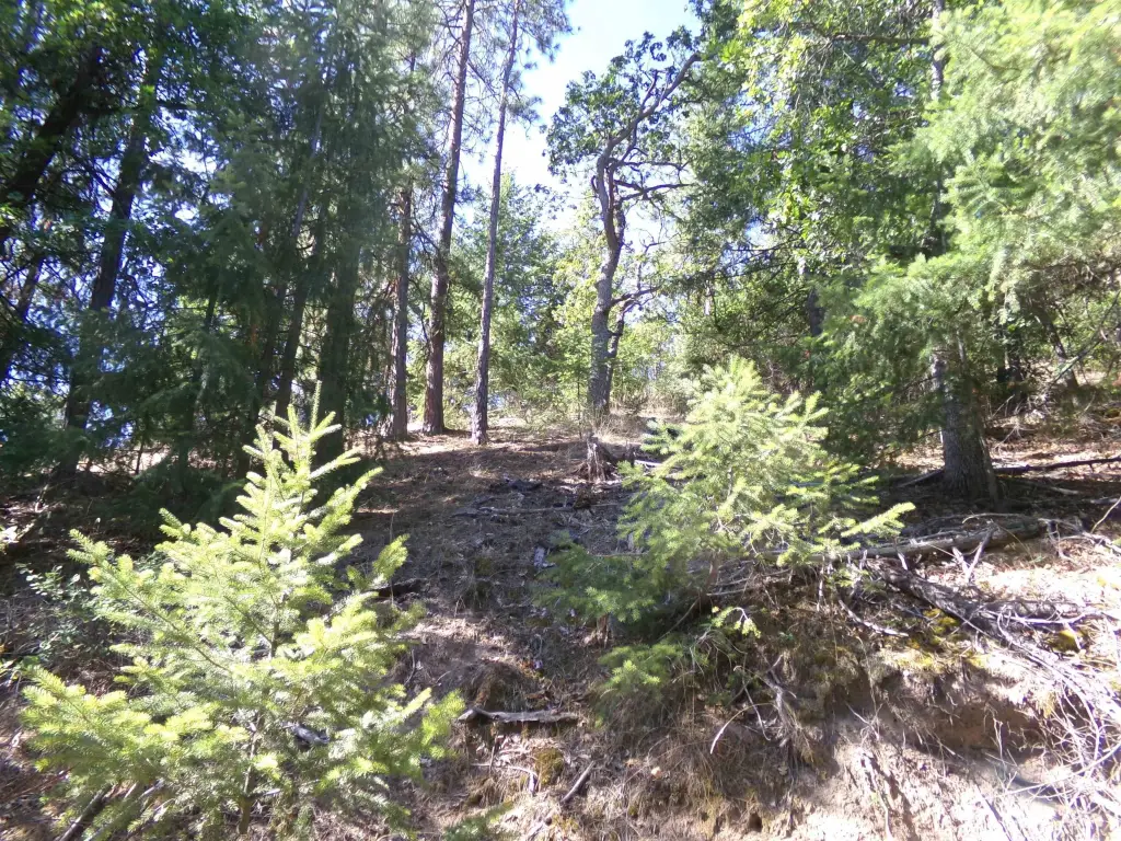 Picture 11