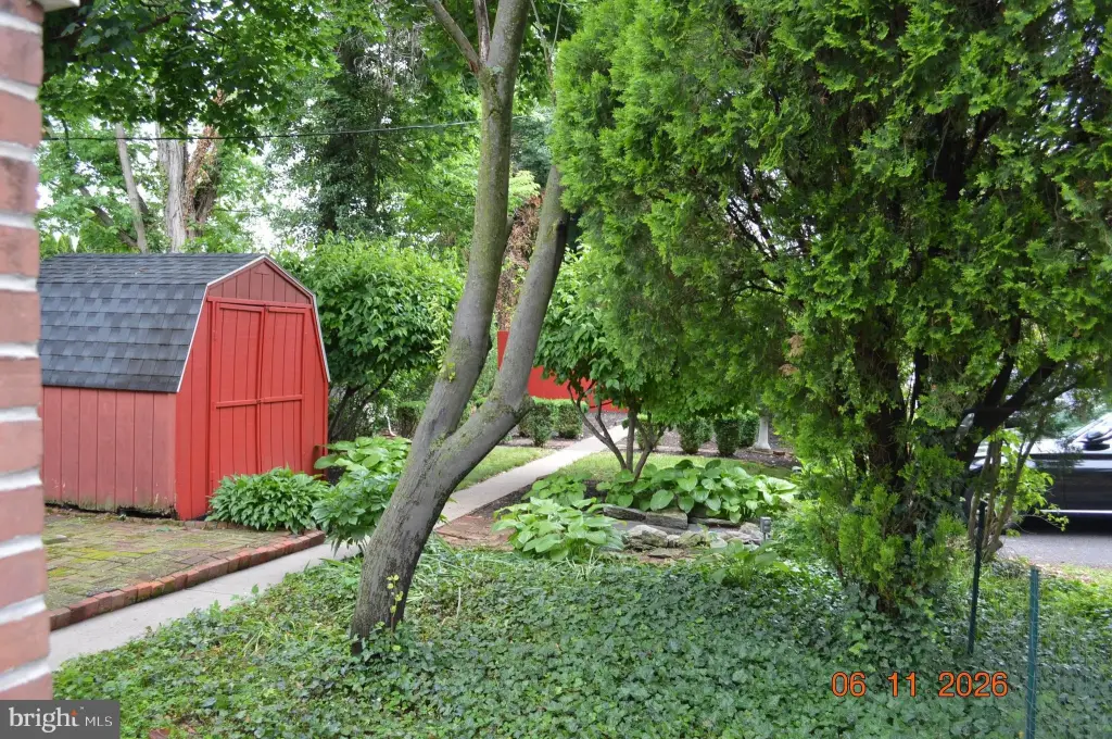 Picture 21