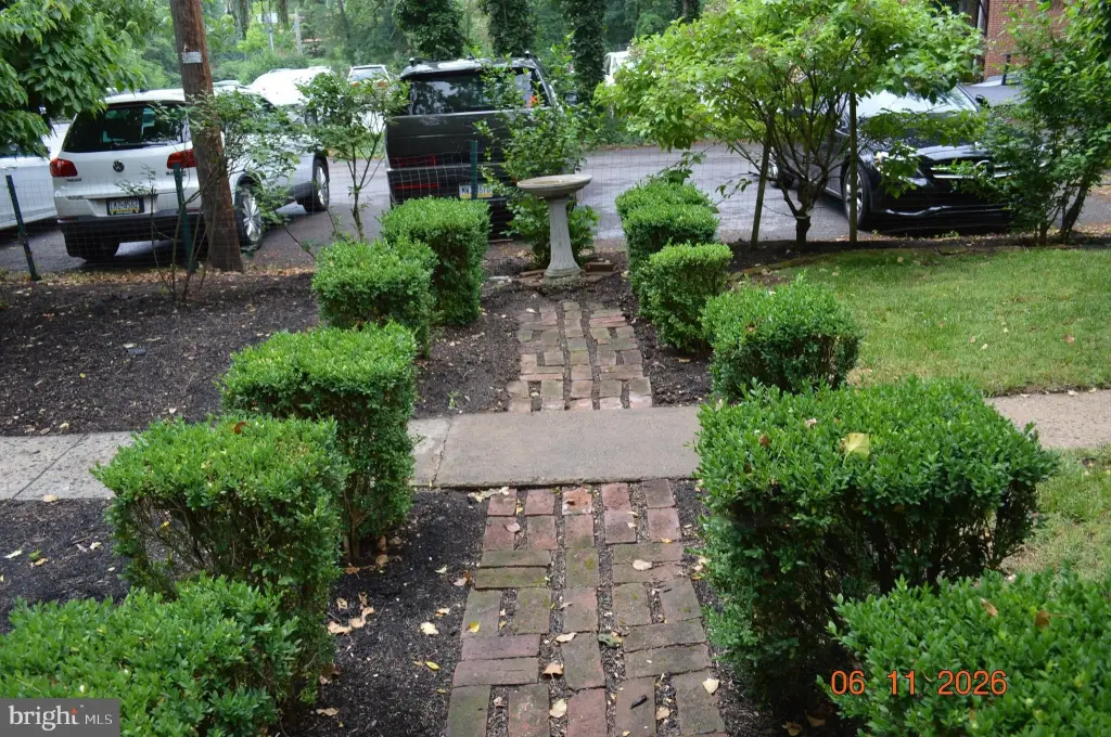 Picture 27