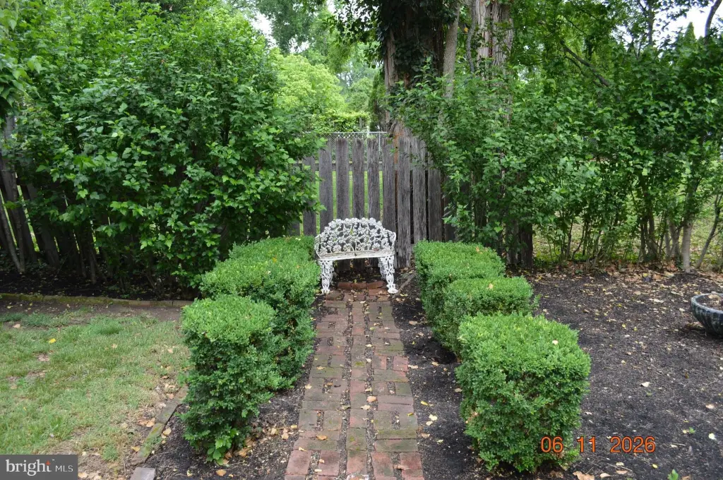 Picture 26