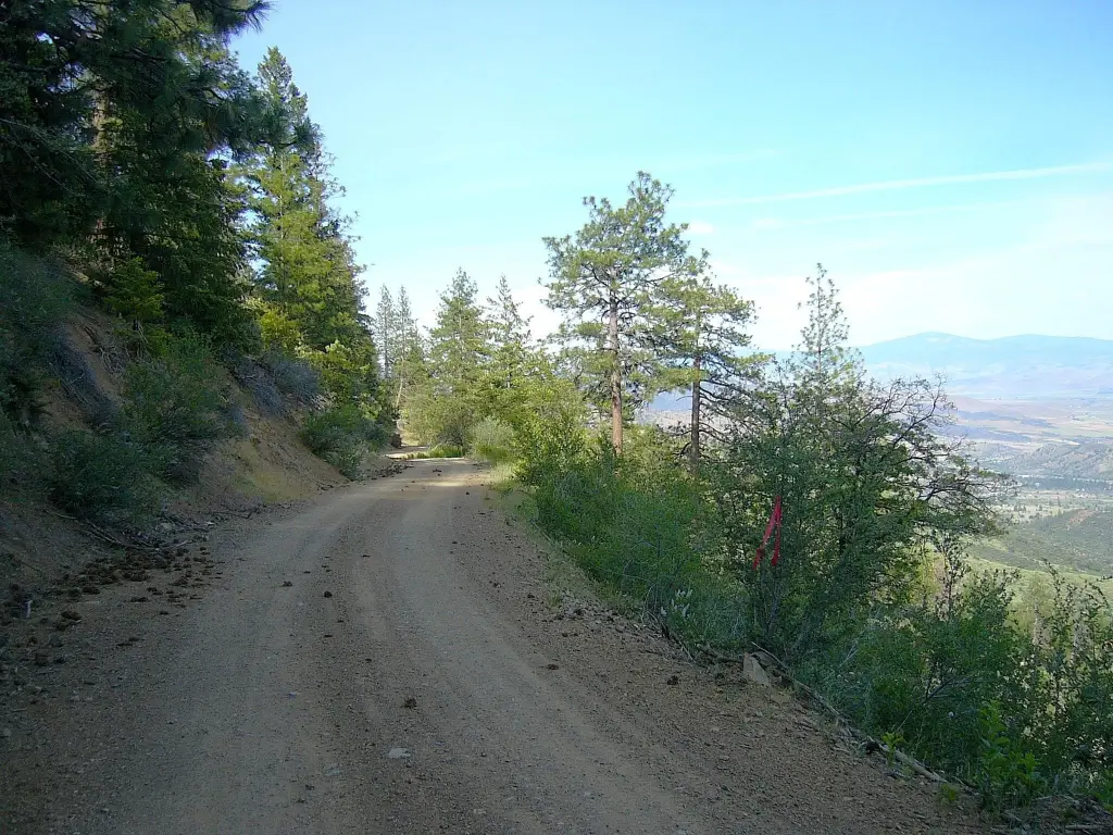 Picture 24