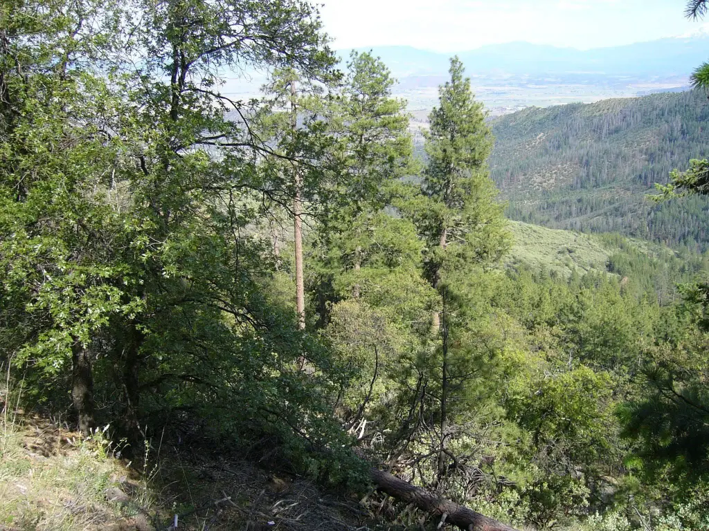 Picture 17
