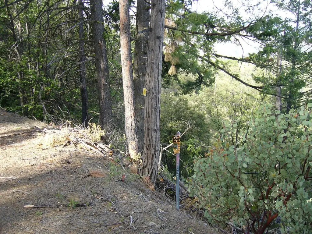 Picture 23