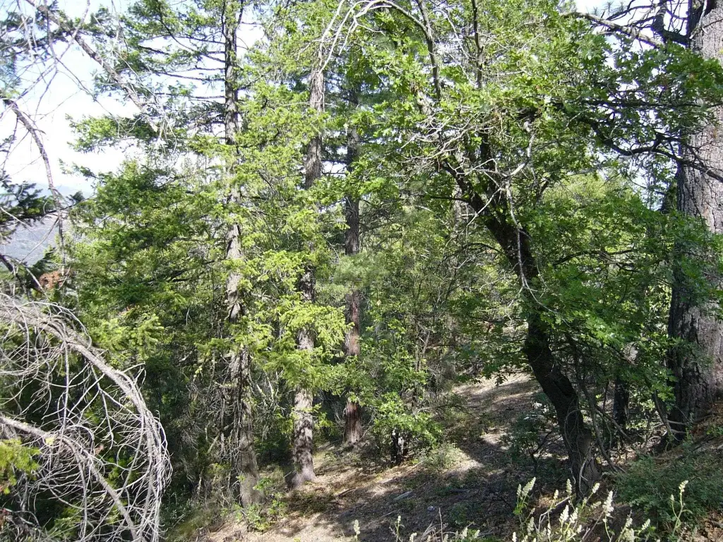 Picture 10