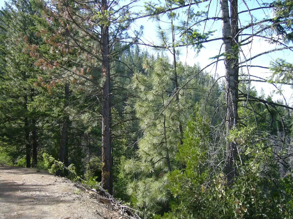 Picture 9