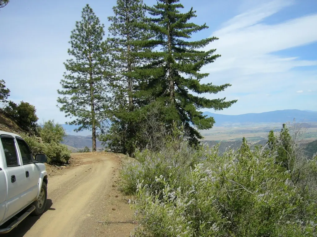 Picture 13