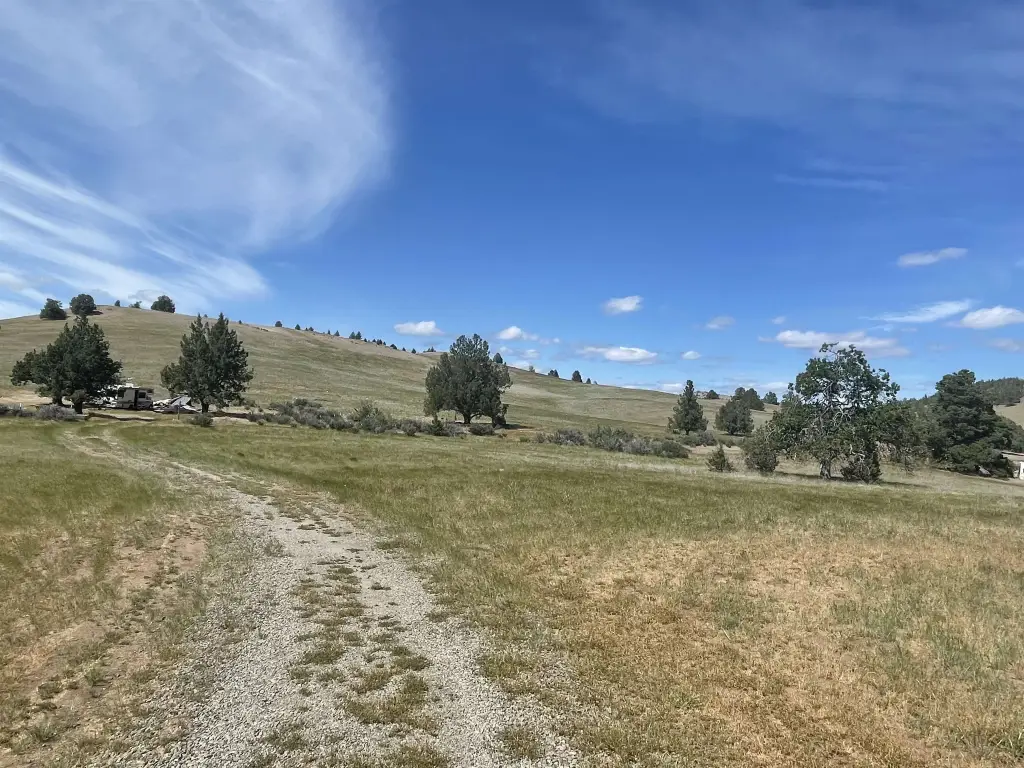Picture 21