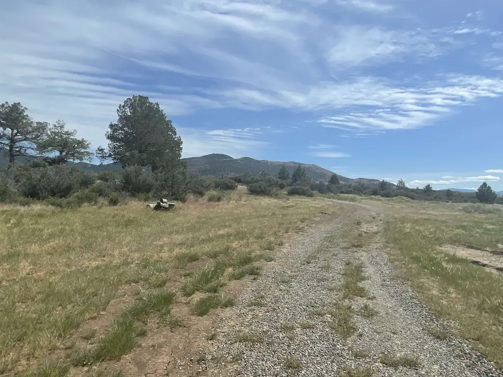 Picture 19
