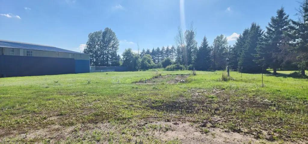 Picture 23