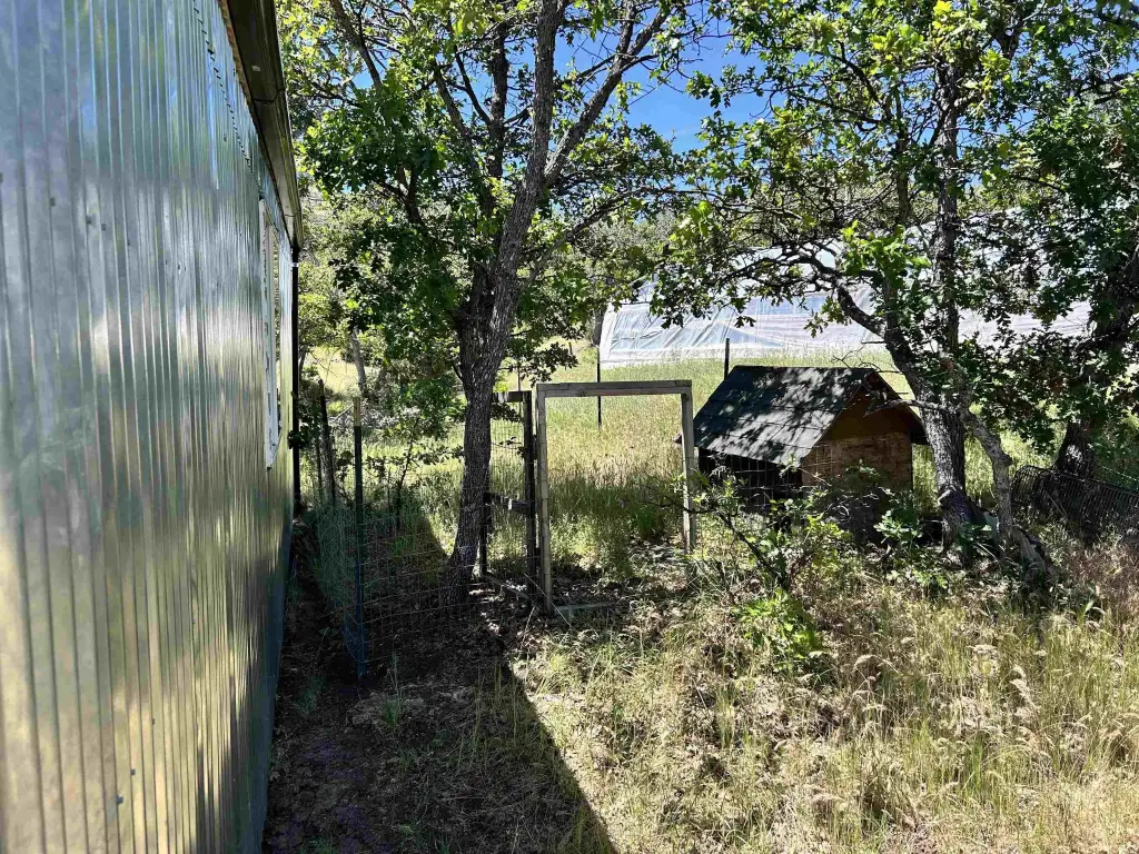 Picture 17