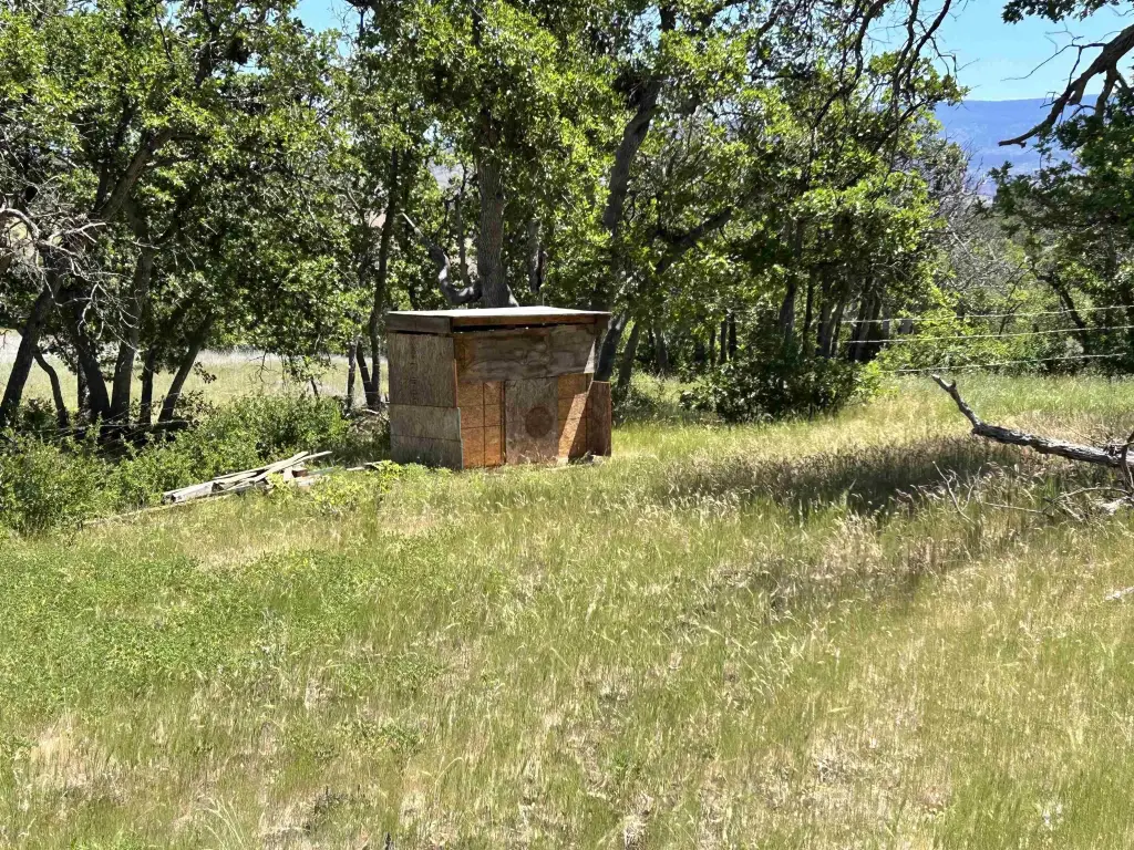 Picture 15