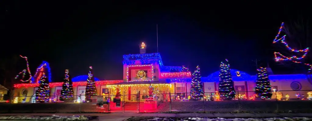Picture 5