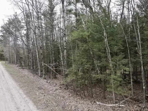 Prime Land Near Burt Lake