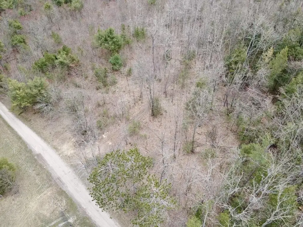 Picture 4