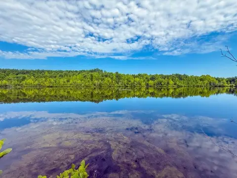 Virginia Recreational Paradise with Pond