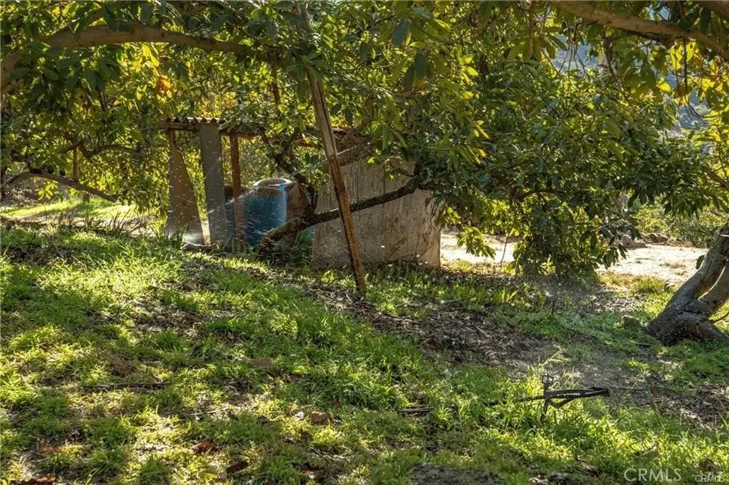Picture 24