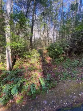 Residential Land in Sapphire, NC