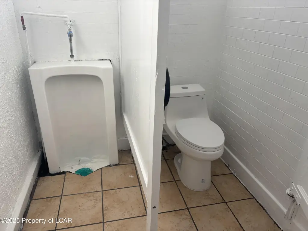 Picture 11