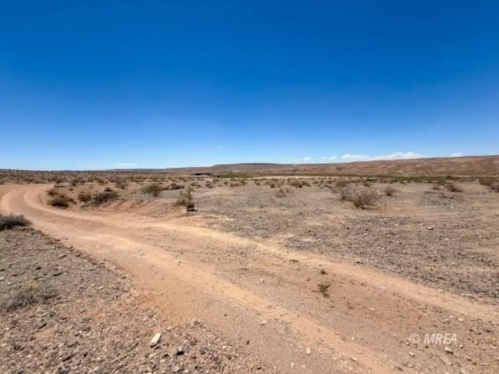 Picture 37