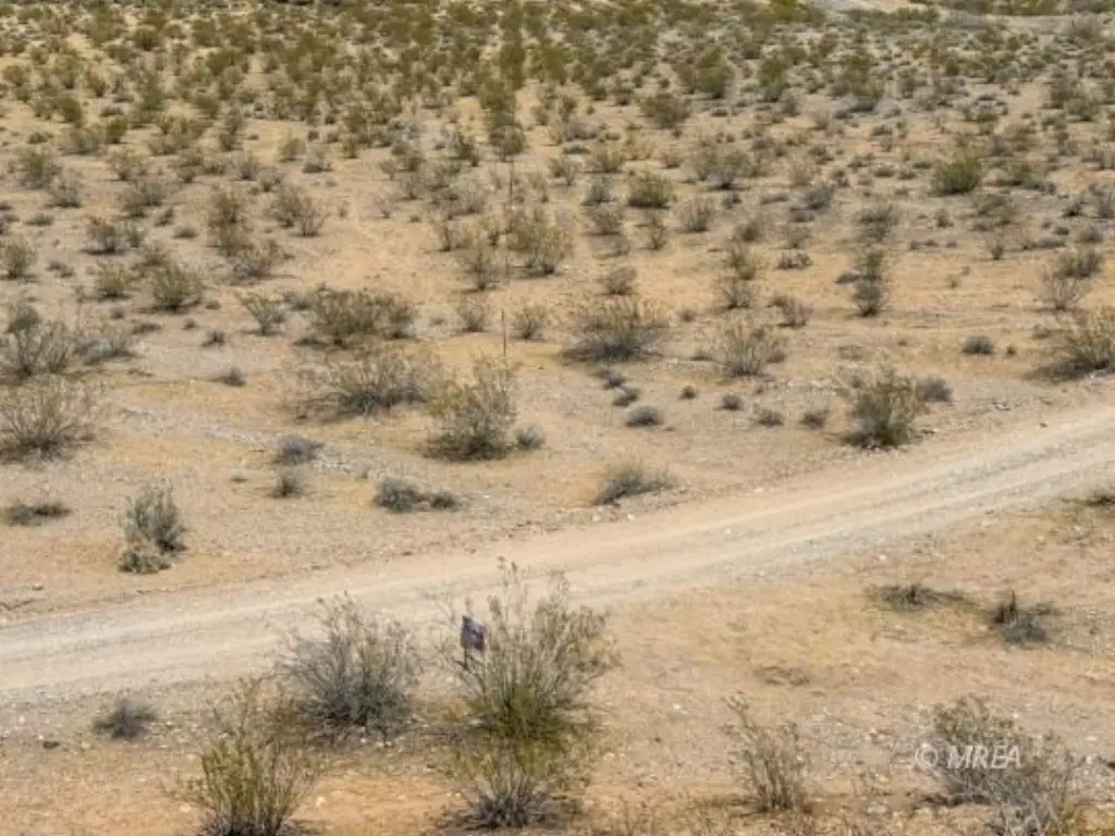 Picture 43