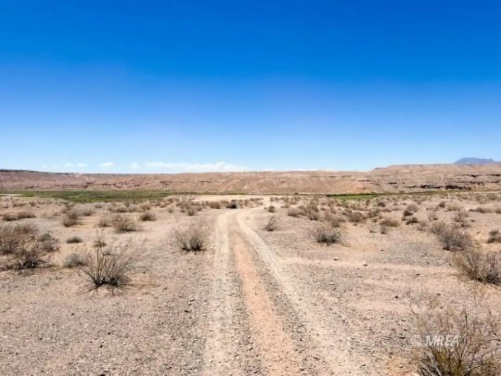 Picture 29