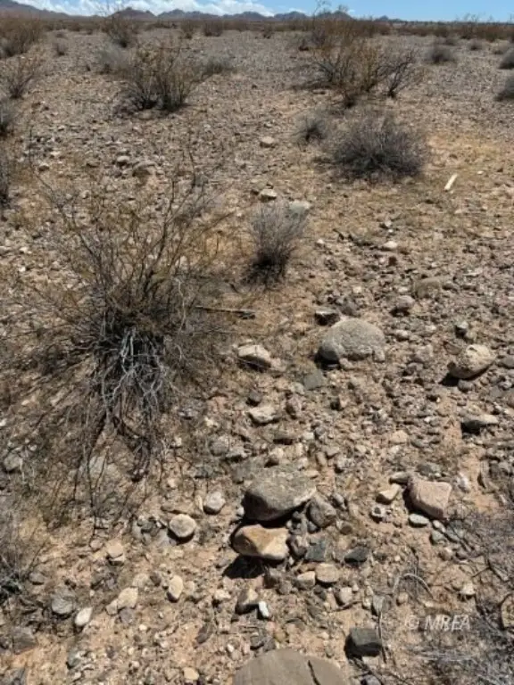 Picture 46